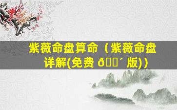 紫薇命盘算命（紫薇命盘详解(免费 🐴 版)）